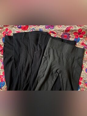 Lot of SIX pairs of Loft petite leggings: size M/MP